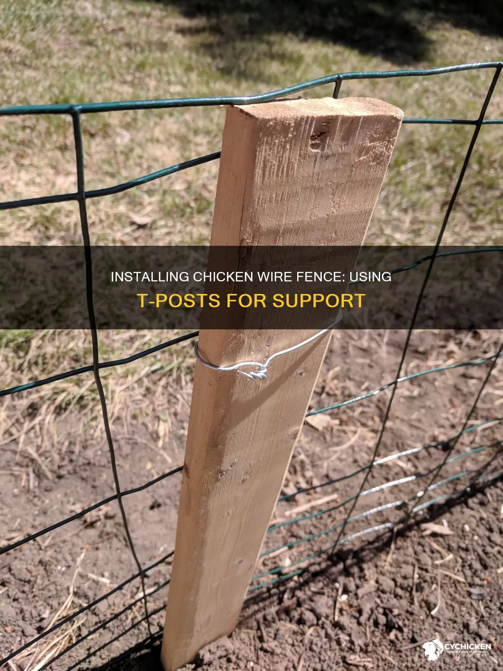 how to install chicken wire fence with t posts
