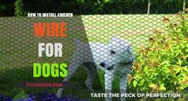 Secure Your Yard: Easy Chicken Wire Installation Guide for Dog Owners