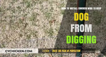 Chicken Wire Installation: Stop Dogs Digging Under the Fence