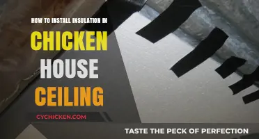 Insulating Your Chicken Coop Ceiling: A Step-by-Step Installation Guide