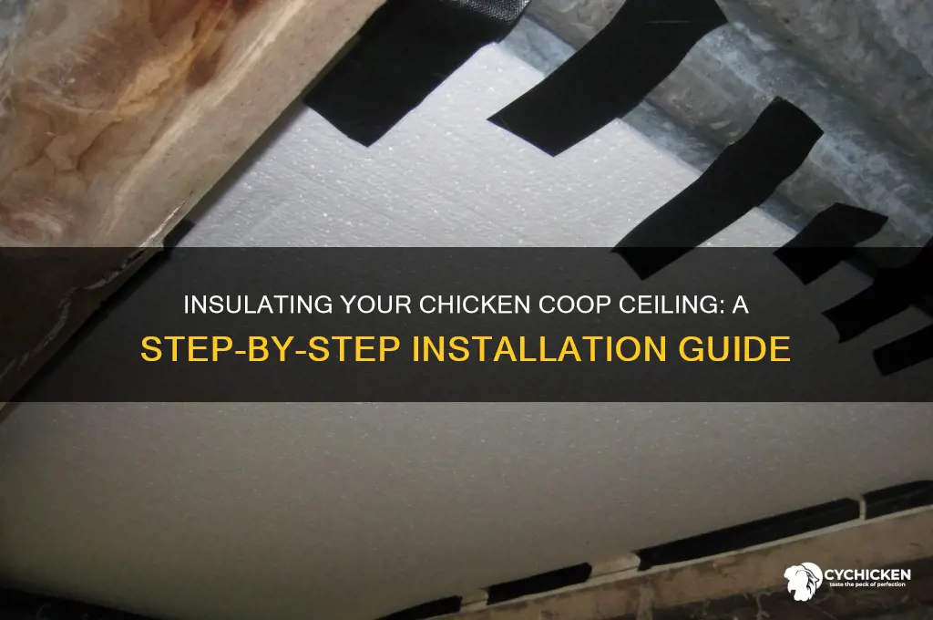 how to install insulation in chicken house ceiling