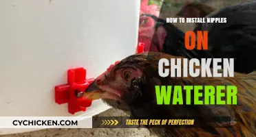 Easy Steps to Install Nipples on Your Chicken Waterer
