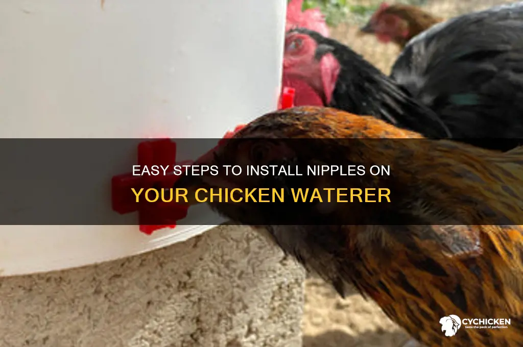 how to install nipples on chicken waterer