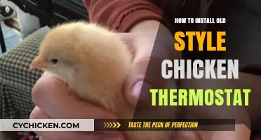 Installing Vintage Chicken Coop Thermostats: A Step-by-Step Guide