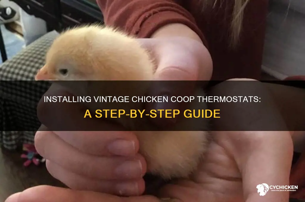 how to install old style chicken thermostat