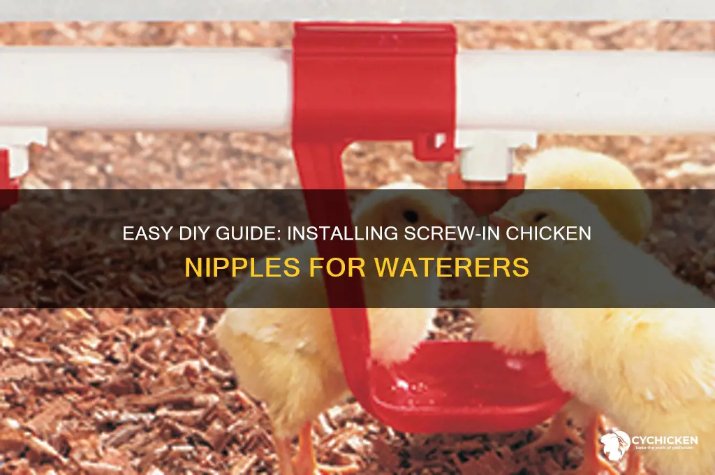 how to install screw in chicken nipples