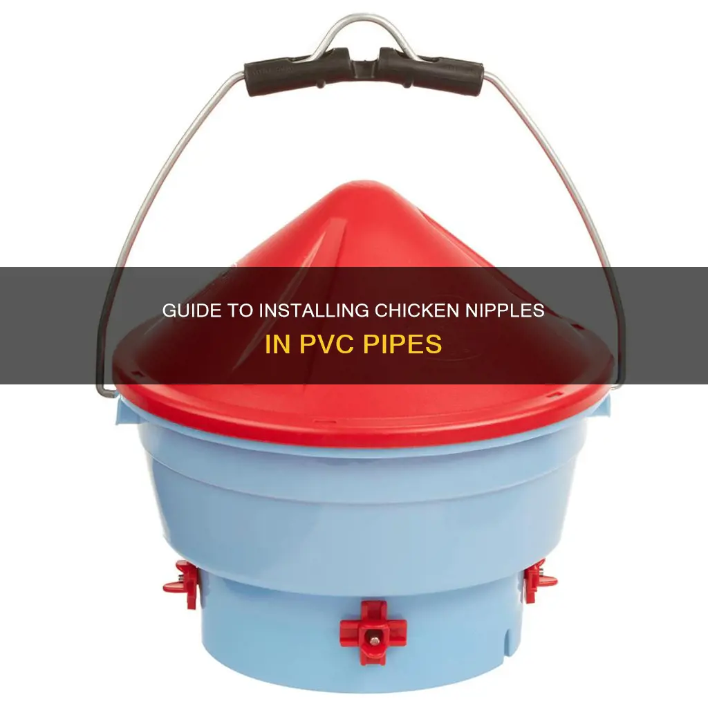 how to install topincn chicken nipples in pvc pipe