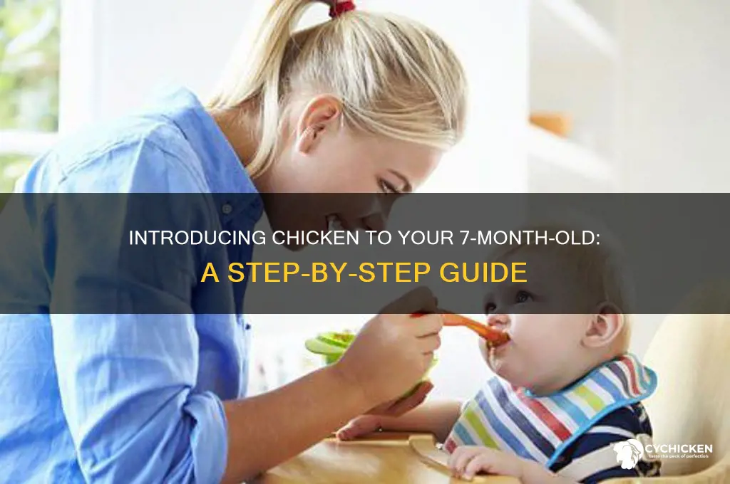 how to introduce chicken to 7 month old