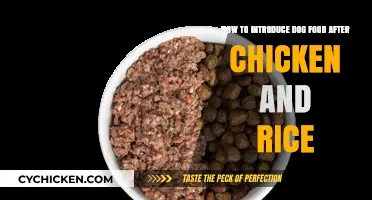 Transitioning Your Dog's Diet: From Chicken and Rice to Dog Food