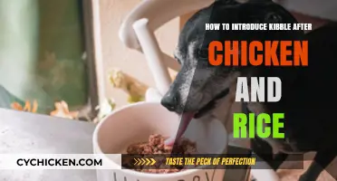 Transitioning Your Dog: Introducing Kibble After Chicken and Rice Diet