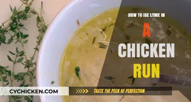 Using Lyme Safely: Tips for Chicken Runs and Pest Control