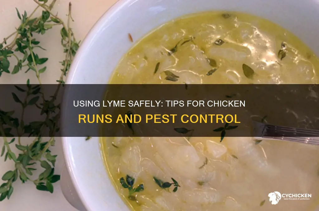 how to ise lyme in a chicken run