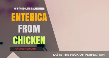 Effective Techniques for Isolating Salmonella Enterica from Chicken Samples