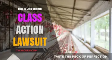 Join the Chicken Class Action Lawsuit: Your Step-by-Step Guide