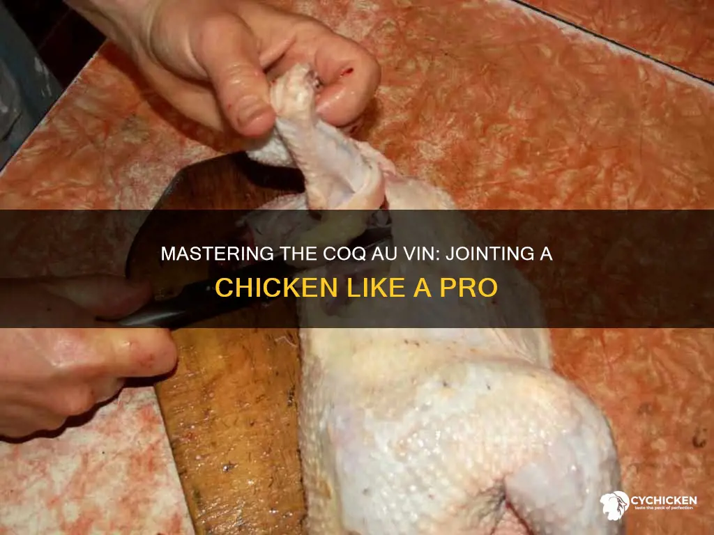 how to joint a chicken for coq au vin