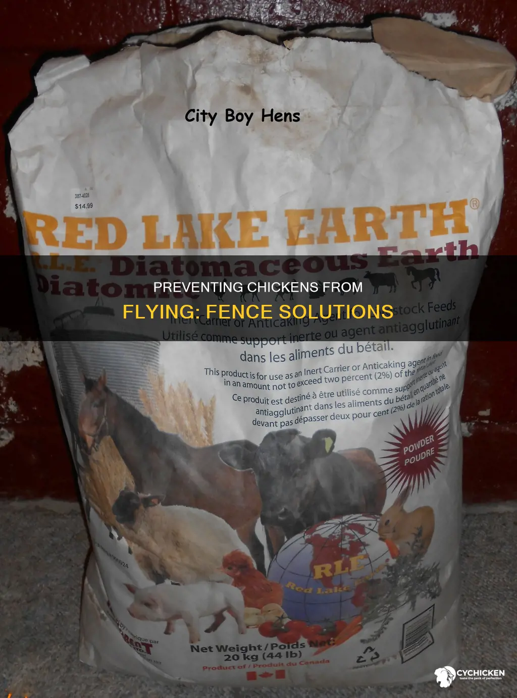 how to keep a chicken from flying over the fence