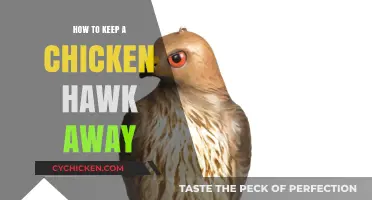 Effective Strategies to Safeguard Your Flock from Chicken Hawks