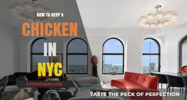 Urban Chicken Keeping: Tips for Raising Hens in NYC Apartments