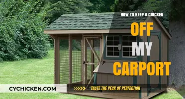 Effective Strategies to Keep Chickens Away from Your Carport