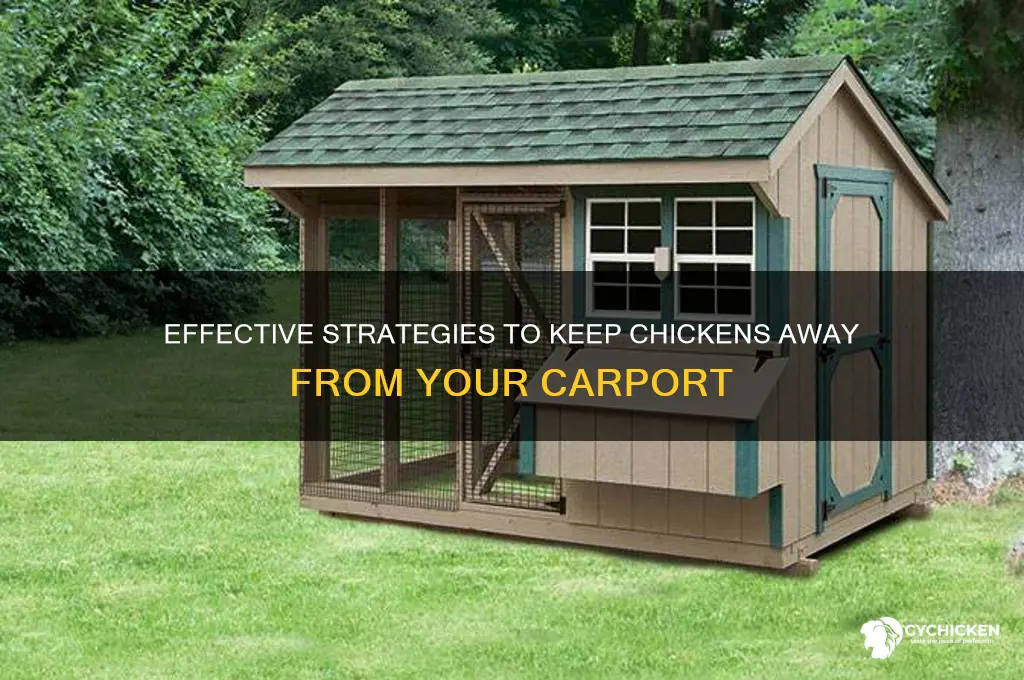 how to keep a chicken off my carport
