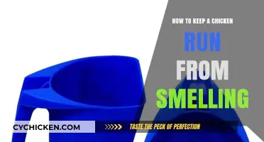 Effective Tips to Keep Your Chicken Run Odor-Free and Fresh