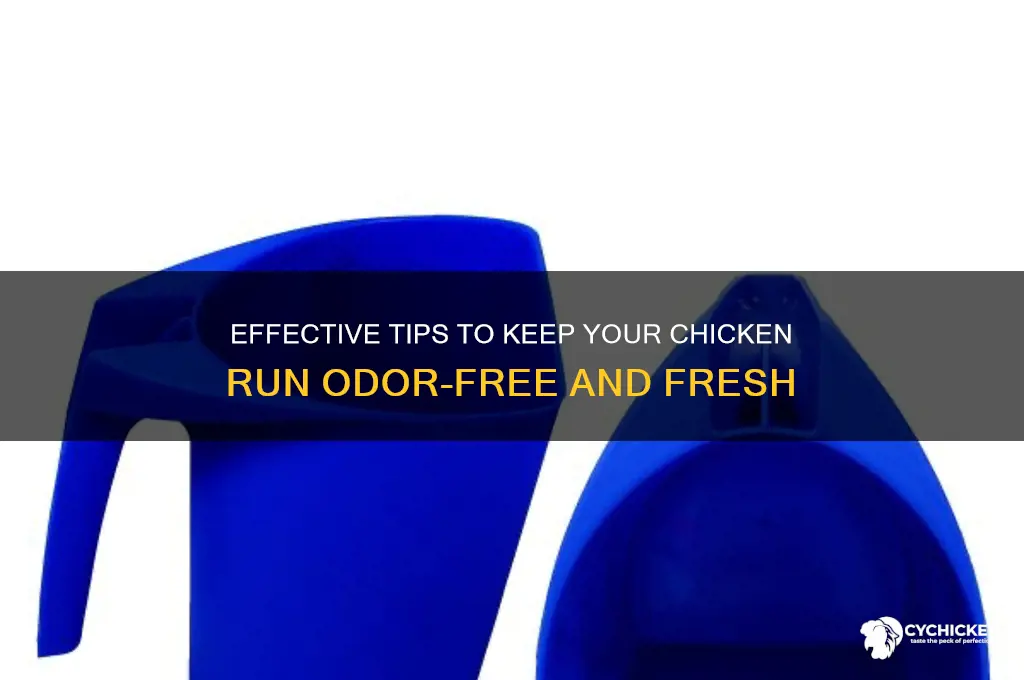 how to keep a chicken run from smelling