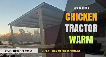 Effective Tips for Insulating Your Chicken Tractor in Cold Weather