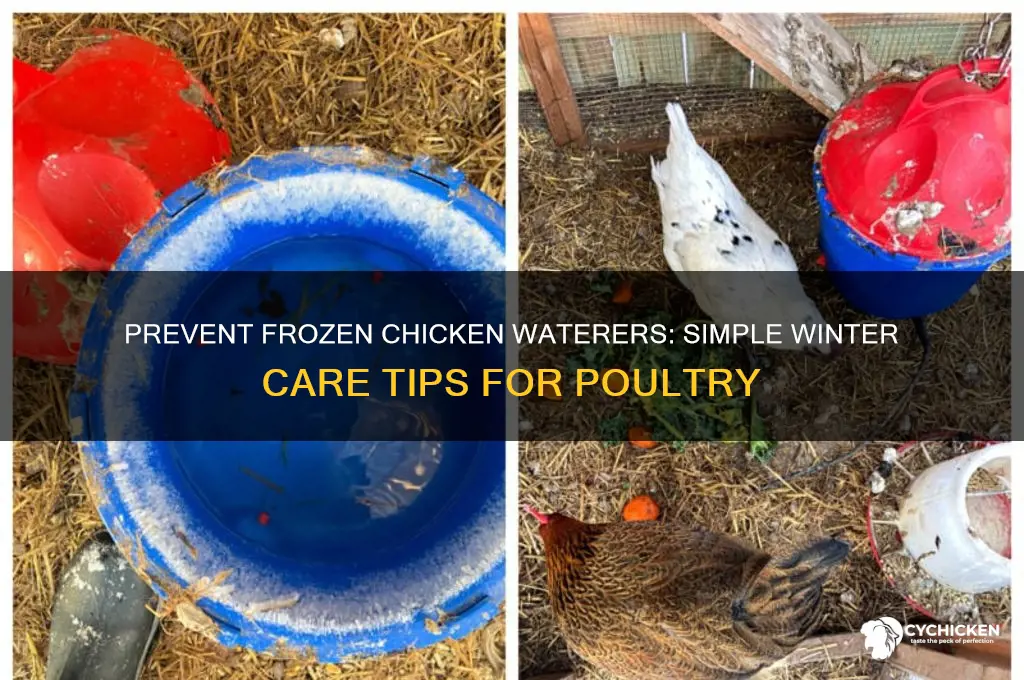 how to keep a chicken waterer from freezing
