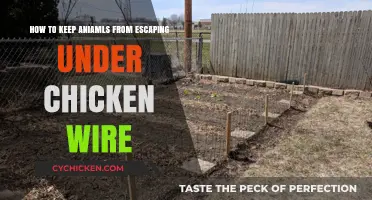 Securing Chicken Wire to Keep Animals Contained