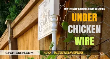 Preventing Escapes: Securing Chicken Wire