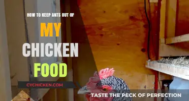 Protecting Chicken Food from Ants: Effective Strategies
