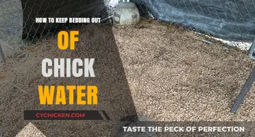 Prevent Bedding Contamination: Tips for Keeping Chick Water Clean