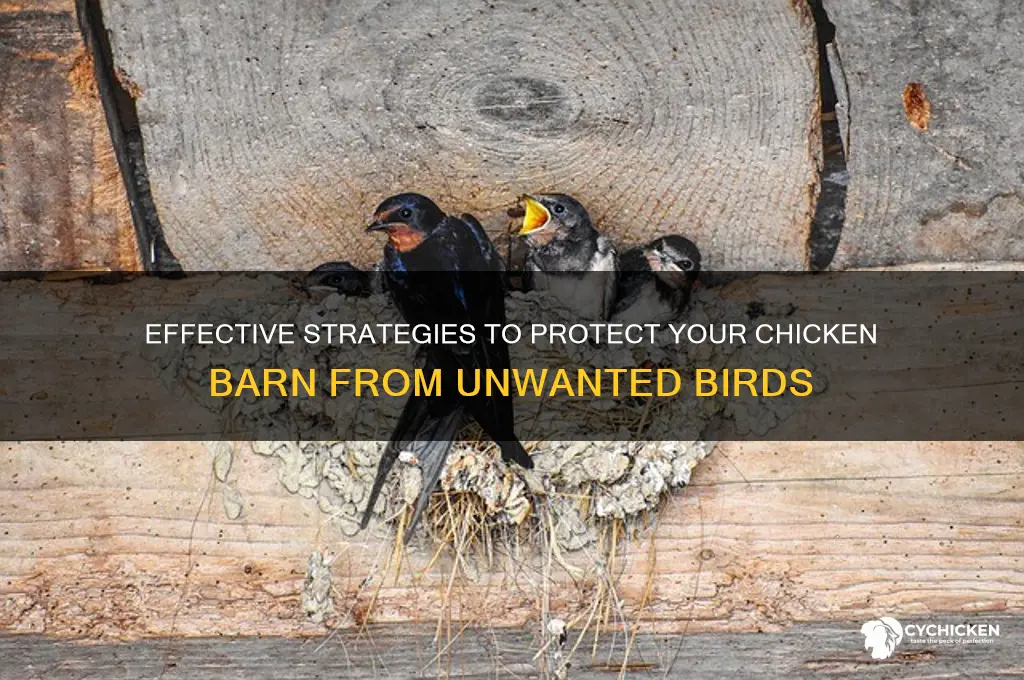 how to keep birds out of chicken barn