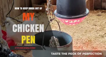 Protecting Your Chicken Pen: Keeping Birds Away