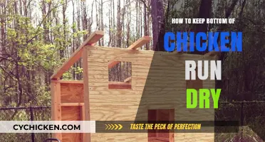 Effective Tips to Maintain a Dry Chicken Run Floor