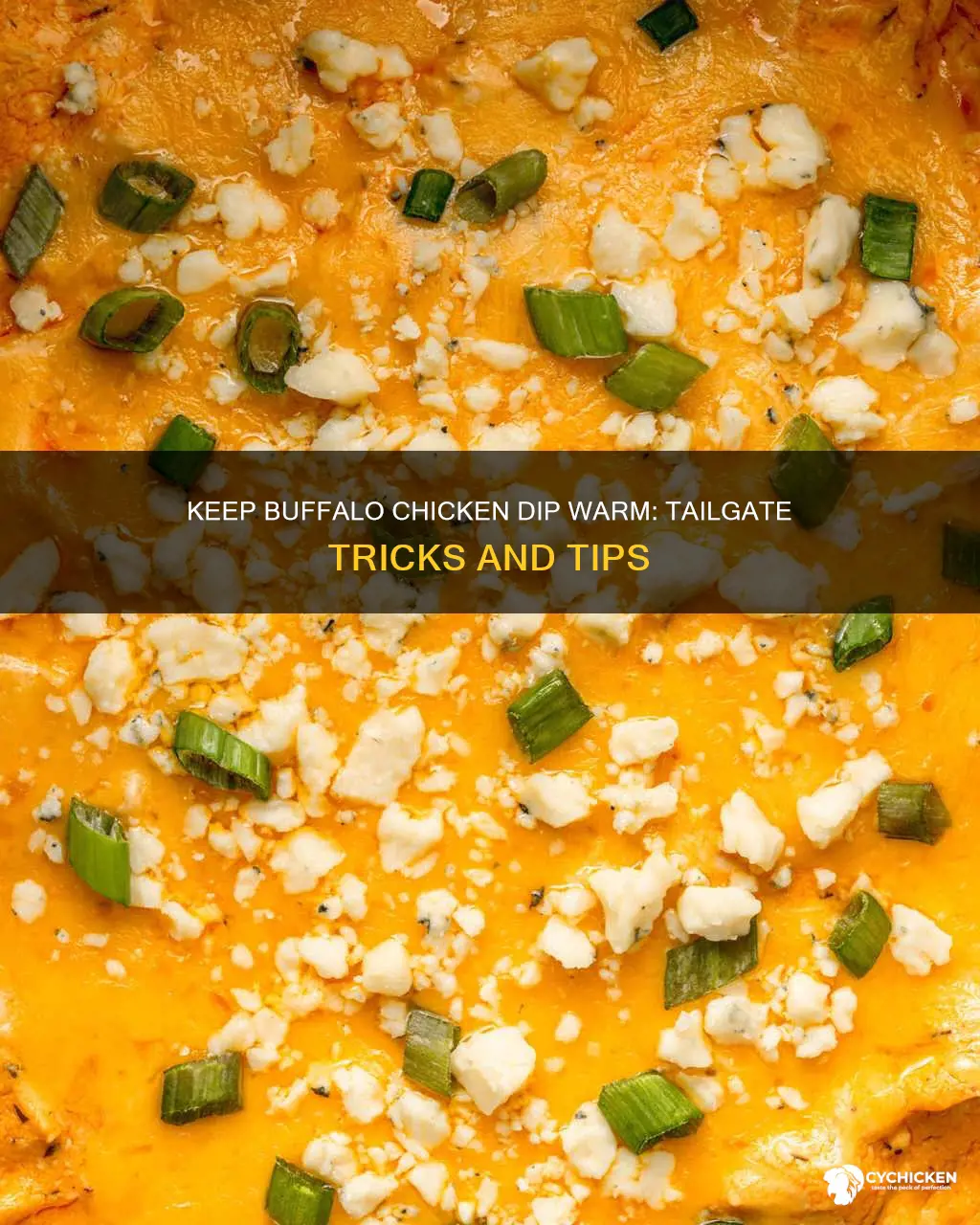 how to keep buffalo chicken dip warm at tailgate