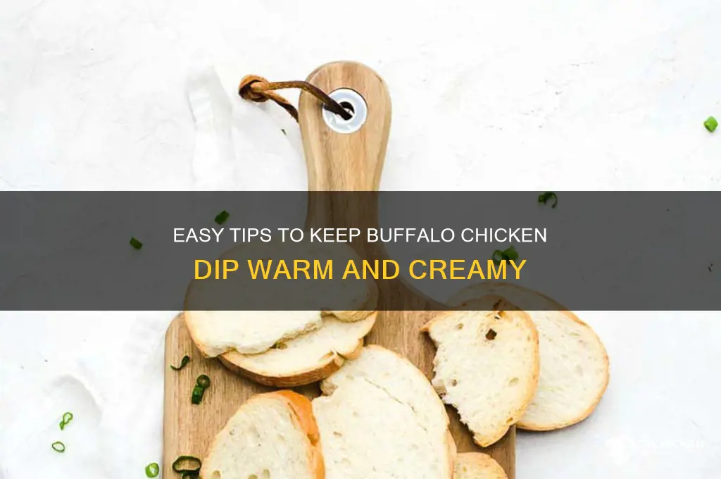 how to keep buffalo chicken dip warm