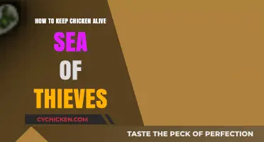 Surviving the Waves: Keeping Your Chicken Safe in Sea of Thieves