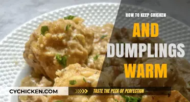Cozy Comfort: Tips to Keep Chicken and Dumplings Warm and Delicious