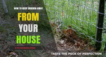 Effective Ways to Keep Chickens Out of Your House and Yard