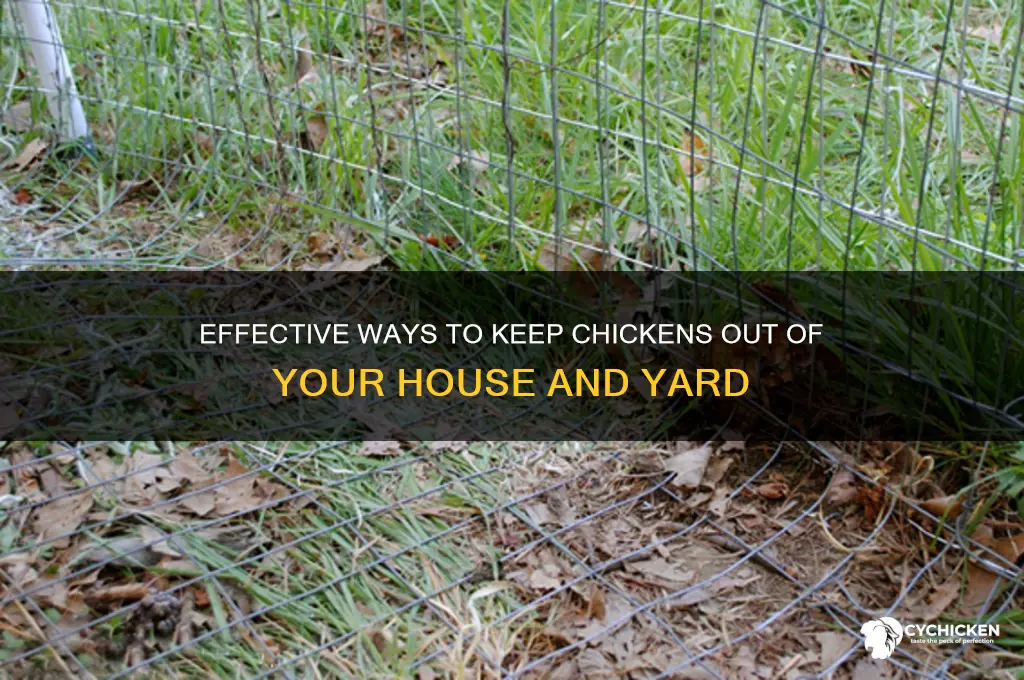 how to keep chicken away from your house
