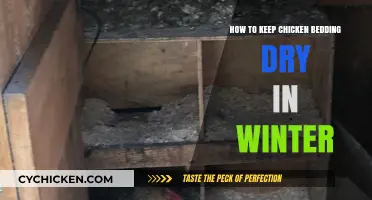 Winter Chicken Care: Effective Tips for Dry, Cozy Bedding