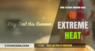 Beat the Heat: Essential Tips to Keep Chickens Cool in Extreme Temperatures
