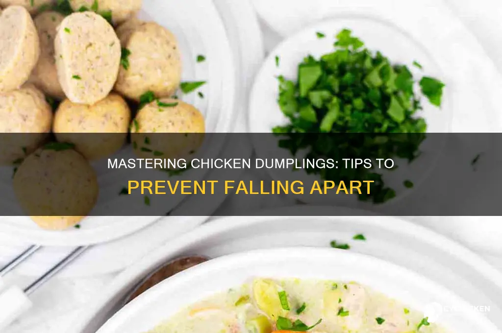 how to keep chicken dumplings from falling apart