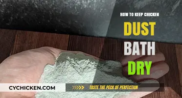 Effective Tips to Maintain a Dry Dust Bath for Chickens