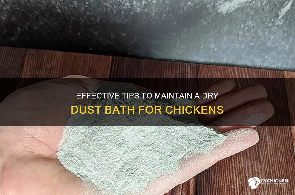 how to keep chicken dust bath dry