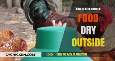 Effective Outdoor Chicken Feeding: Tips to Keep Food Dry
