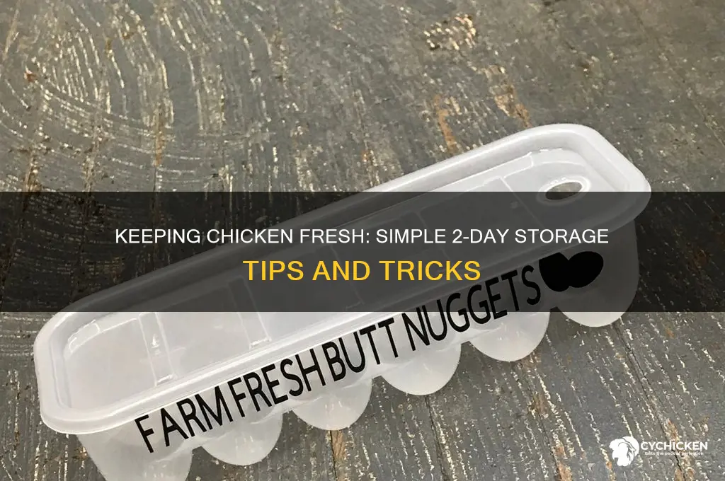 how to keep chicken fresh for 2 days