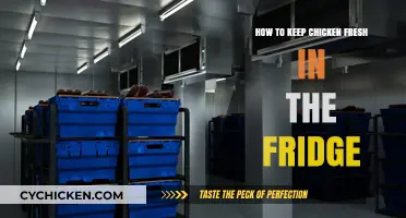 Keep Chicken Fresh Longer: Essential Fridge Storage Tips and Tricks