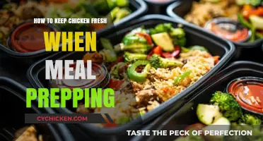 Meal Prep Mastery: Keeping Chicken Fresh and Flavorful All Week